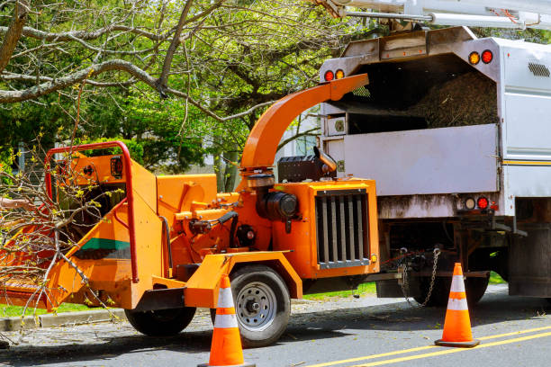 Best Firewood Processing and Delivery  in China Grove, NC